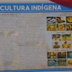 indigena